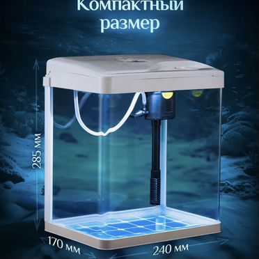 Аквариум с рыбками