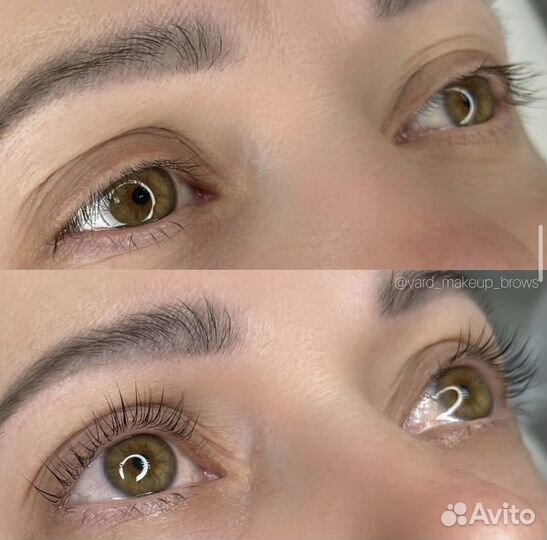 Мастер бровист