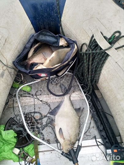 Рыбалка в Бармино