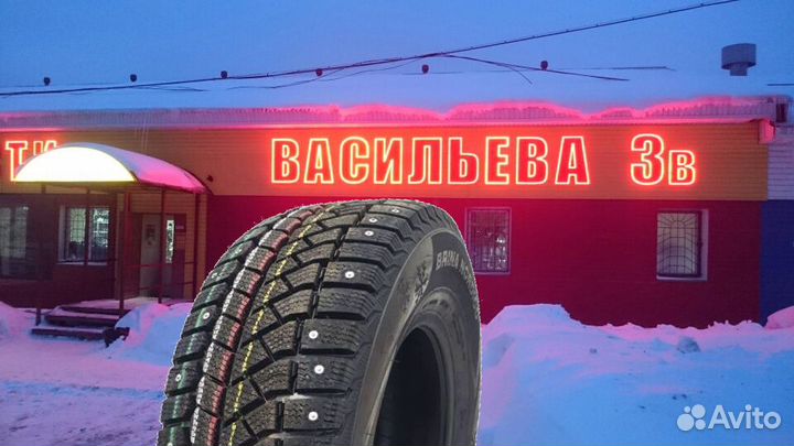 Viatti Brina Nordico V-522 175/70 R14 84T