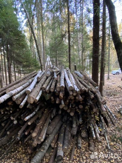Деревья, бревна, лес, дрова