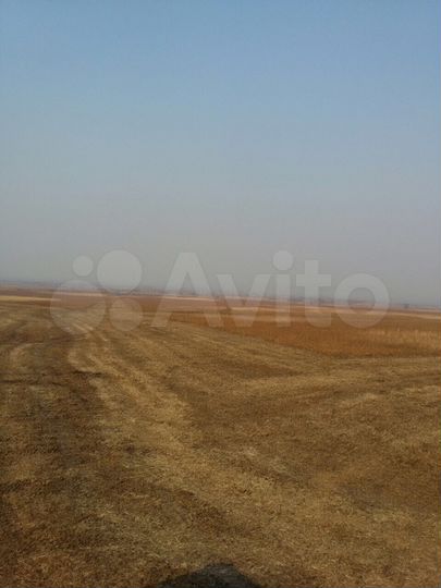 Участок 559 га (СНТ, ДНП)