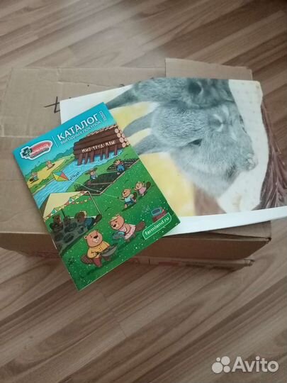 Макулатура