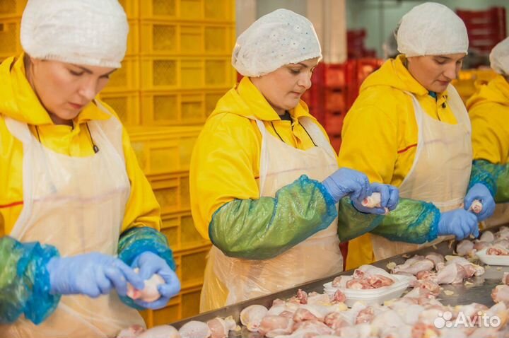 Разнорабочие упаковщики на птицефабрику