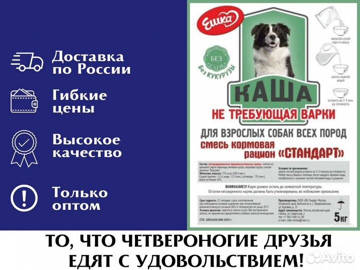 Почему собака лижет хозяина: причины и методы отучения - Purina ONE®