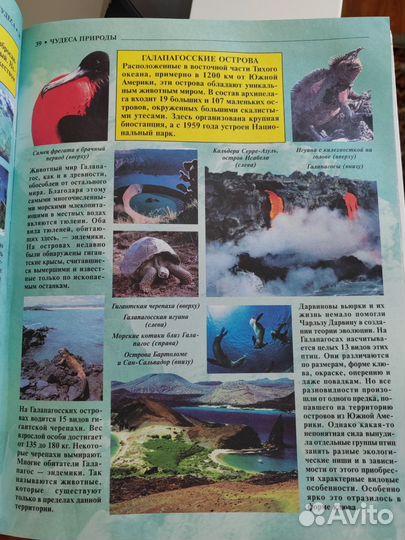 Чудеса Большая детская энциклопедия