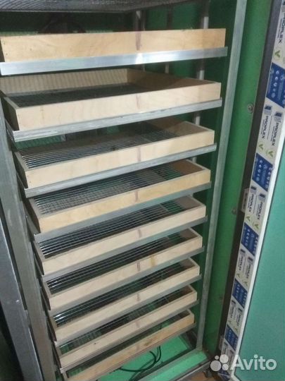 Инкубатор на 1200 яиц