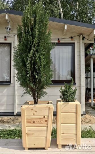 Вазон (кашпо)