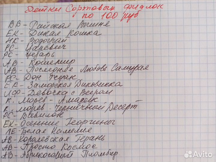 Стартеры, детки, черенки фиалок