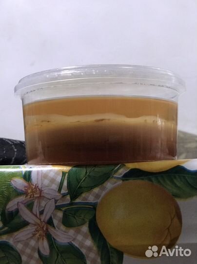 Чайный гриб(комбуча)