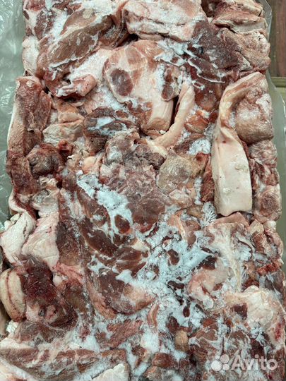 Свинина котлетное мясо