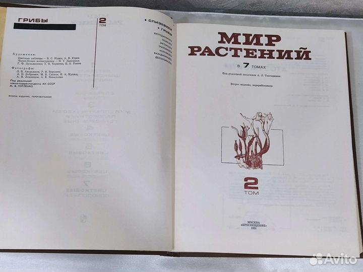 Мир растений. Грибы