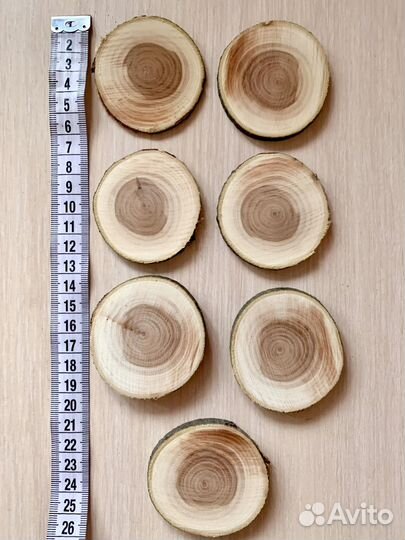 Набор из 20 спилов, диаметр спилов 6 - 8 см