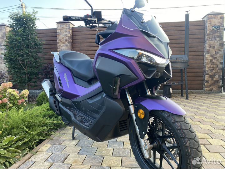 Леопард про