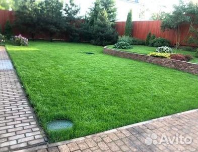 Укладка газона