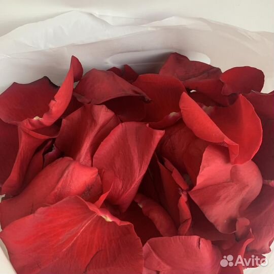 Лепестки Роз Доставка Москва мо