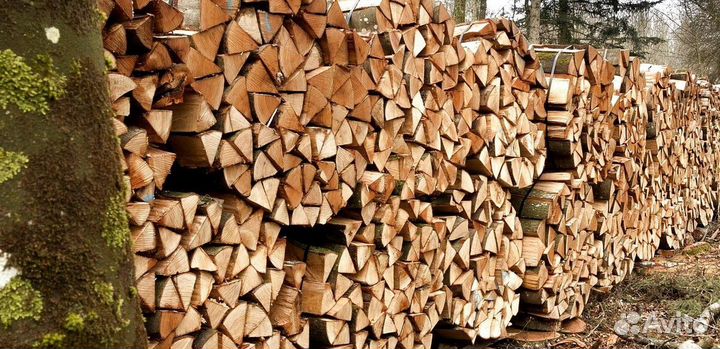 Дрова для бани