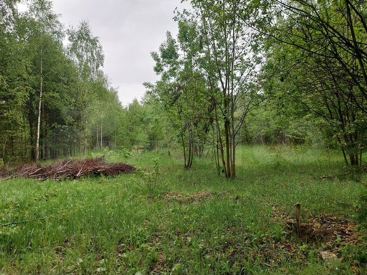 Участок 8,5 сот. (СНТ, ДНП)