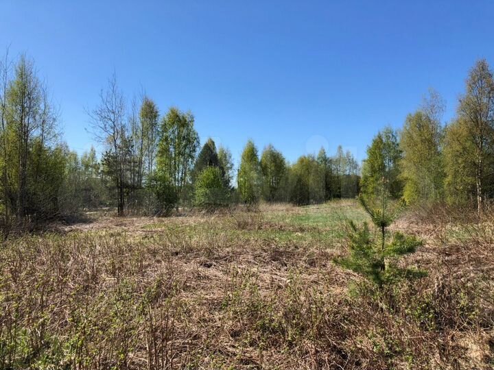 Участок 26,9 сот. (СНТ, ДНП)