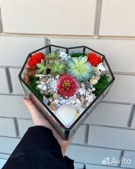 Подарок. Цветы. Флорариум. Сердце. Живые растения