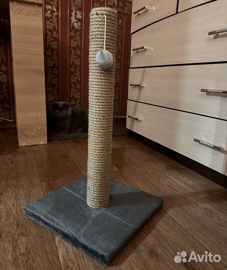 Когтеточка для кошек