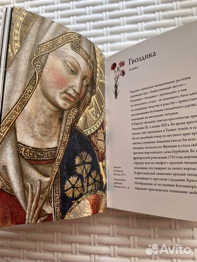 Любовь к ботанике