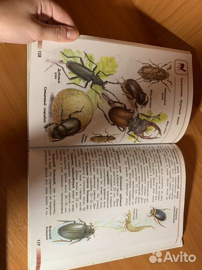 Атлас-определитель «От земли до неба» А. Плешаков