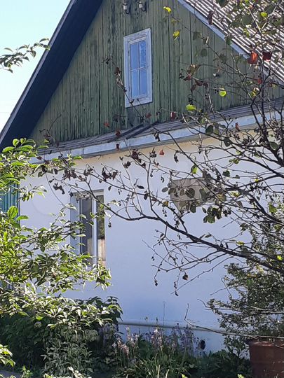 2-к. квартира, 44,9 м², 1/1 эт.