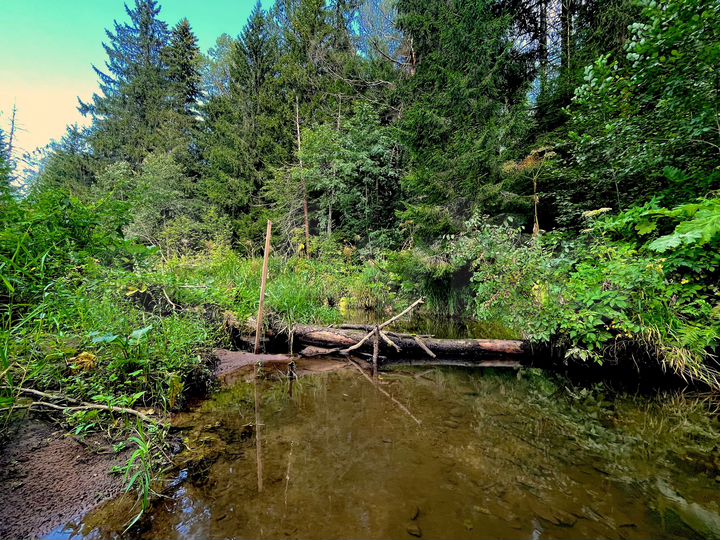 Участок 6 сот. (ИЖС)