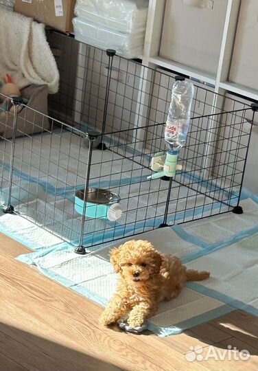 Миска для воды, поилка (под пэт бутылку)