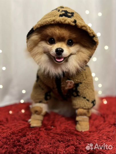 Шубка Burberry для Собаки новая