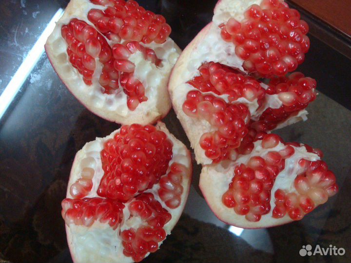 Гранат, Египет, сорт Балади / Вандерфул