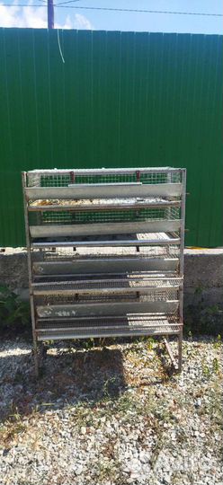 Перепелиная клетка