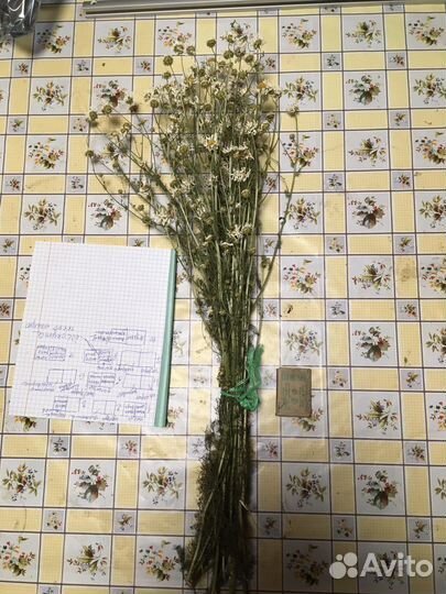 Ромашка аптечная, мята, тысячелистник