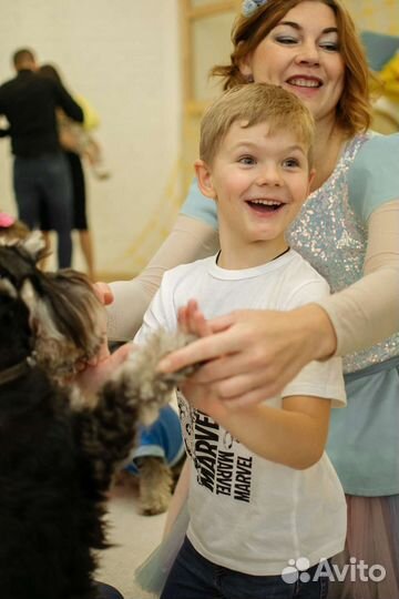 Шоу собачек на детский праздник. Аниматор