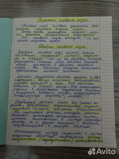 Перепишу лекции. Набор текста в Ворд