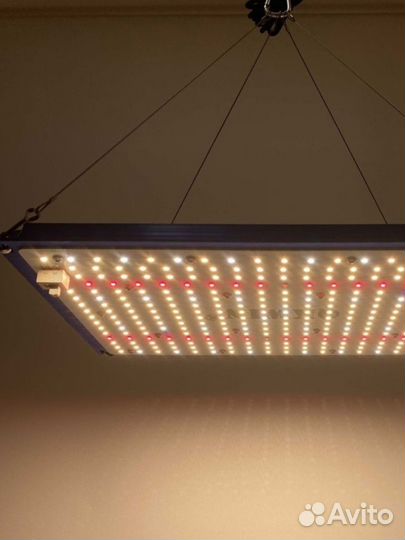 Quantum Board qkwin 120Вт LM301B+660nm+UV IR