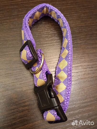 Ошейник и поводок для собак