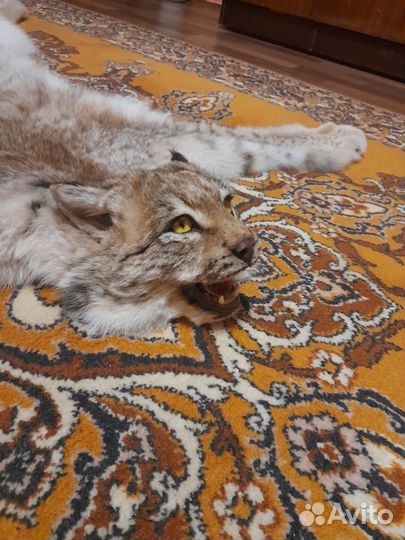 Ковёр рыси (имитация)