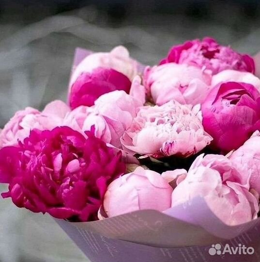 Пионы Букет пионов Доставка цветов
