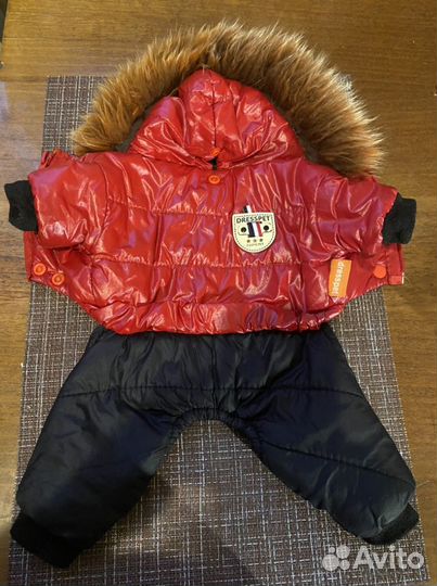 Одежда для собак