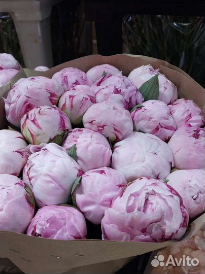 Пионы доставка Москва цветы