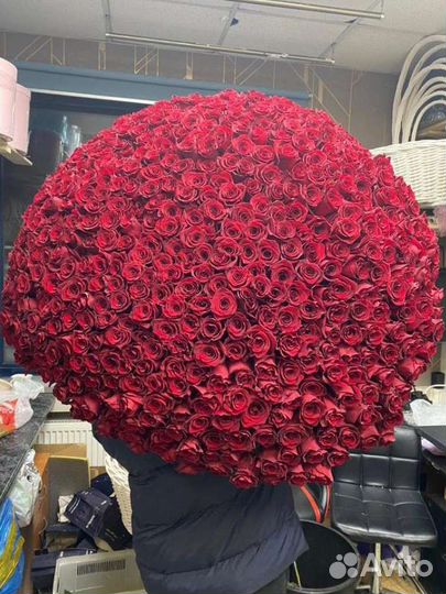 Роза 501 букет цветов с доставкой