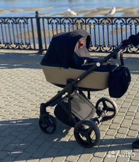 Коляска 2 в 1 adamex