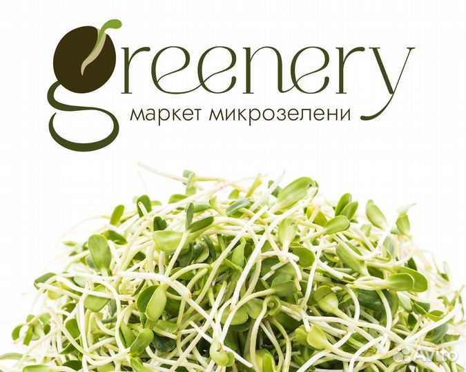 Дизайнер, графический/веб, сайты