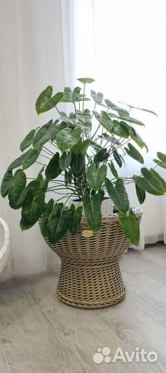 Кашпо для цветов