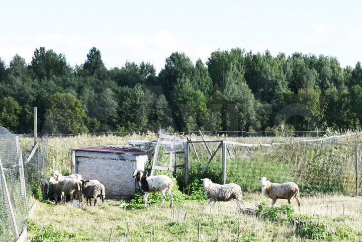 Участок 9,4 сот. (СНТ, ДНП)