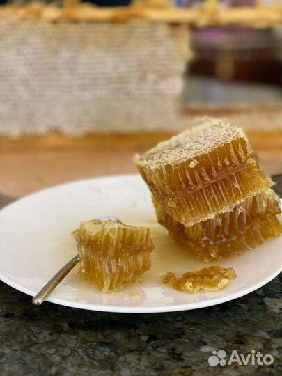 Рамка меда в сотах с доставкой