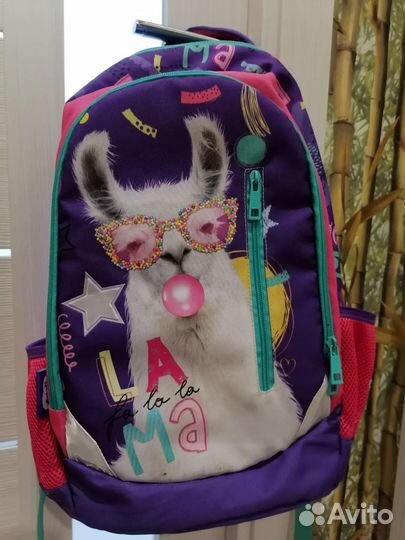 Рюкзак школьный erhaft