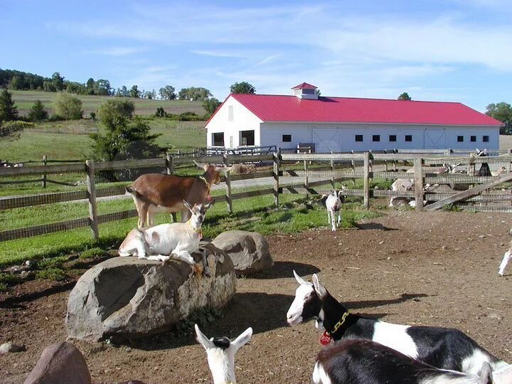 Участок 5,1 га (СНТ, ДНП)